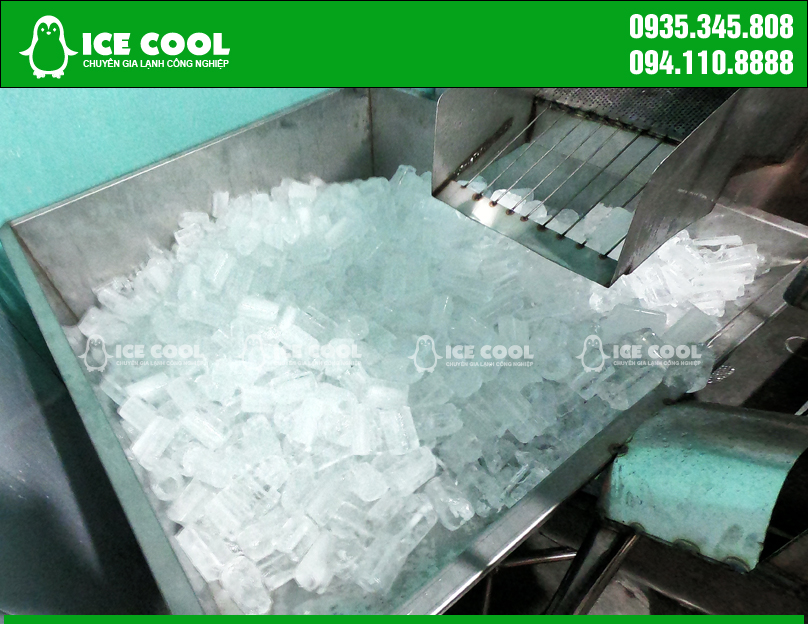 Máy đá viên ICE COOL tạo đá viên chất lượng đồng đều