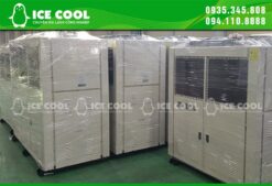 Kho lạnh bảo quản ICE COOL có nhiều kích thước khác nhau