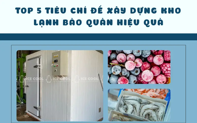 Top 5 tiêu chí để xây dựng kho lạnh bảo quản hiệu quả nhất hiện nay