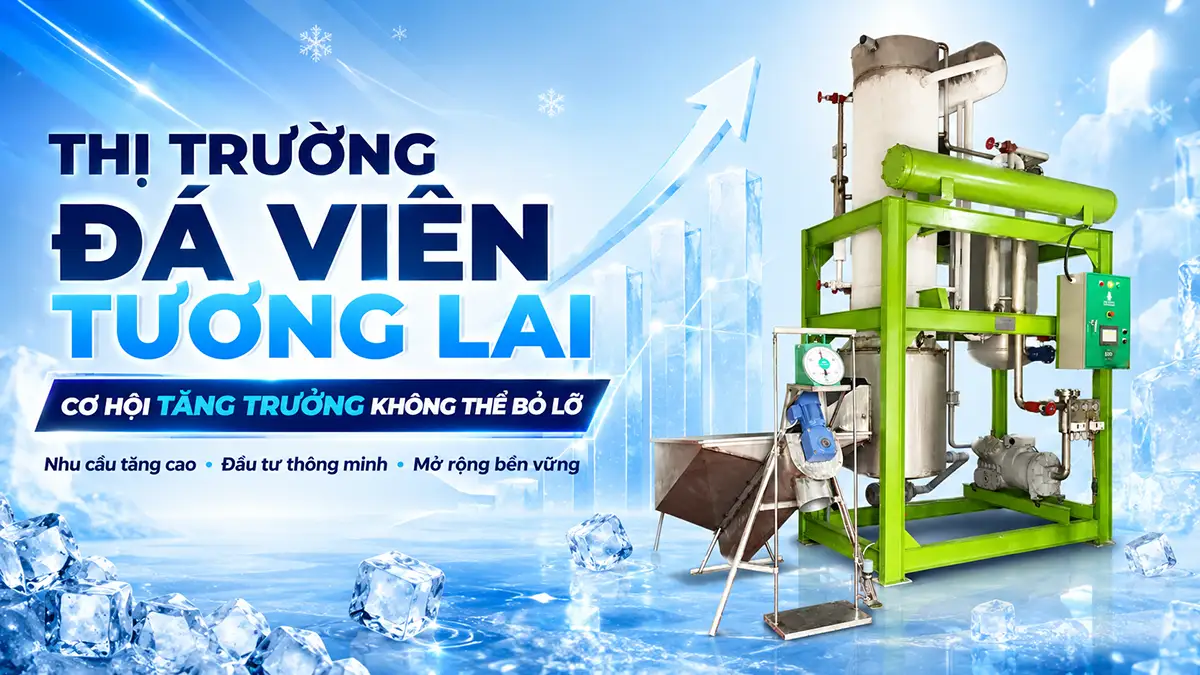 Đánh giá tiềm năng thị trường đá viên trong tương lai và những cơ hội không thể bỏ qua