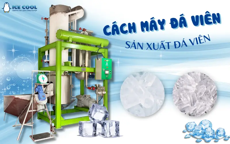 Cách máy đá viên sản xuất đá viên