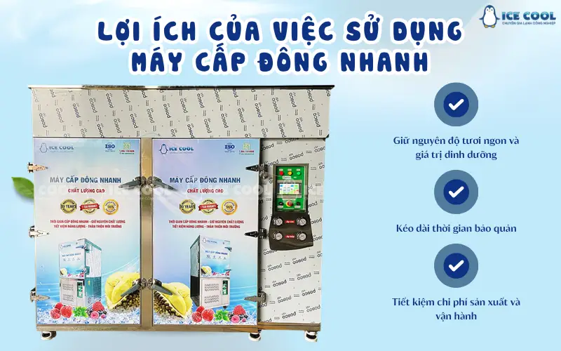 Lợi ích của việc sử dụng máy cấp đông nhanh trong bảo quản thực phẩm