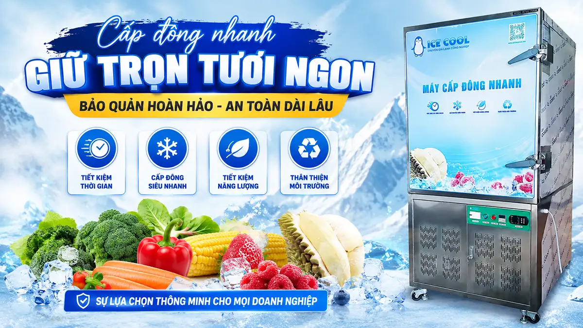 Máy cấp đông nhanh bảo quản thực phẩm đông lạnh giúp giữ trọn dinh dưỡng và độ tươi ngon