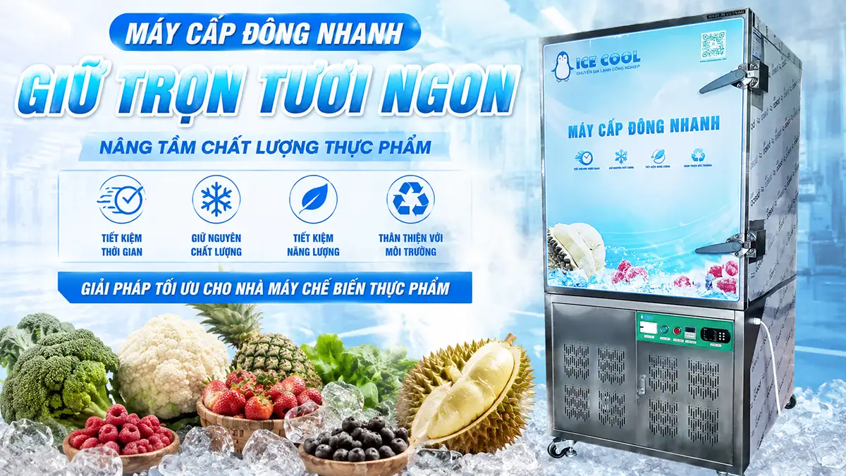 Máy cấp đông nhanh cho nhà máy chế biến thực phẩm